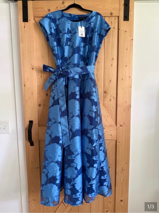 Abbey Glass Dresses & Skirts - Blue Floral Fit-and-Flare Dress with Waist Tie